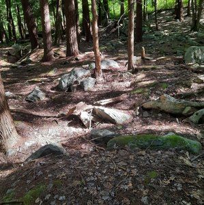 Meet your Posher, Bruce